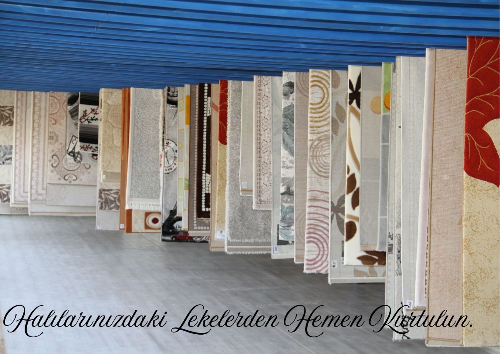 Değirmendere Halı Yıkama Fabrikası